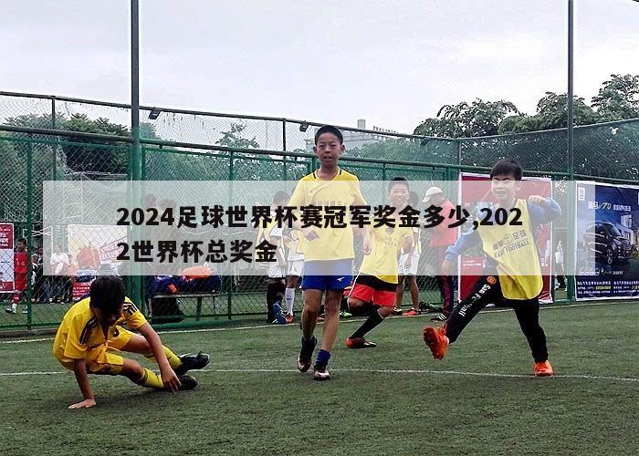2024足球世界杯赛冠军奖金多少,2022世界杯总奖金